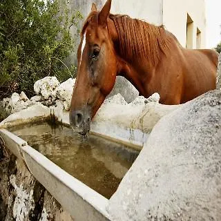 Finca Hotel Predio Son Serra 4*, Can Picafort (Mallorca) Spain